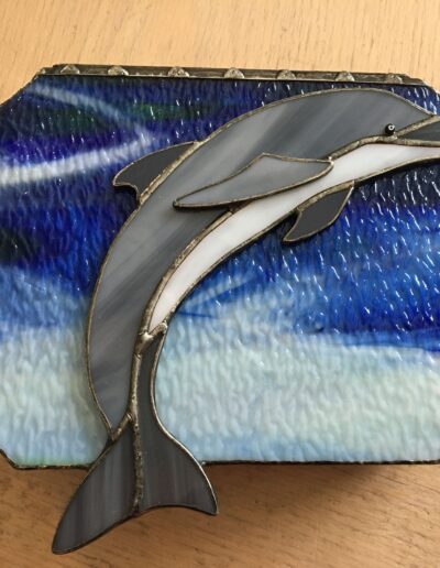 Dolphin Box